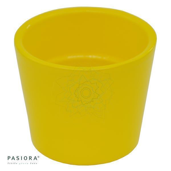 Übertopf, Maisgelb für 6cm Sukkulenten