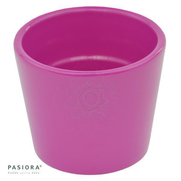 Übertopf, FUCHSIA für 6cm Sukkulenten