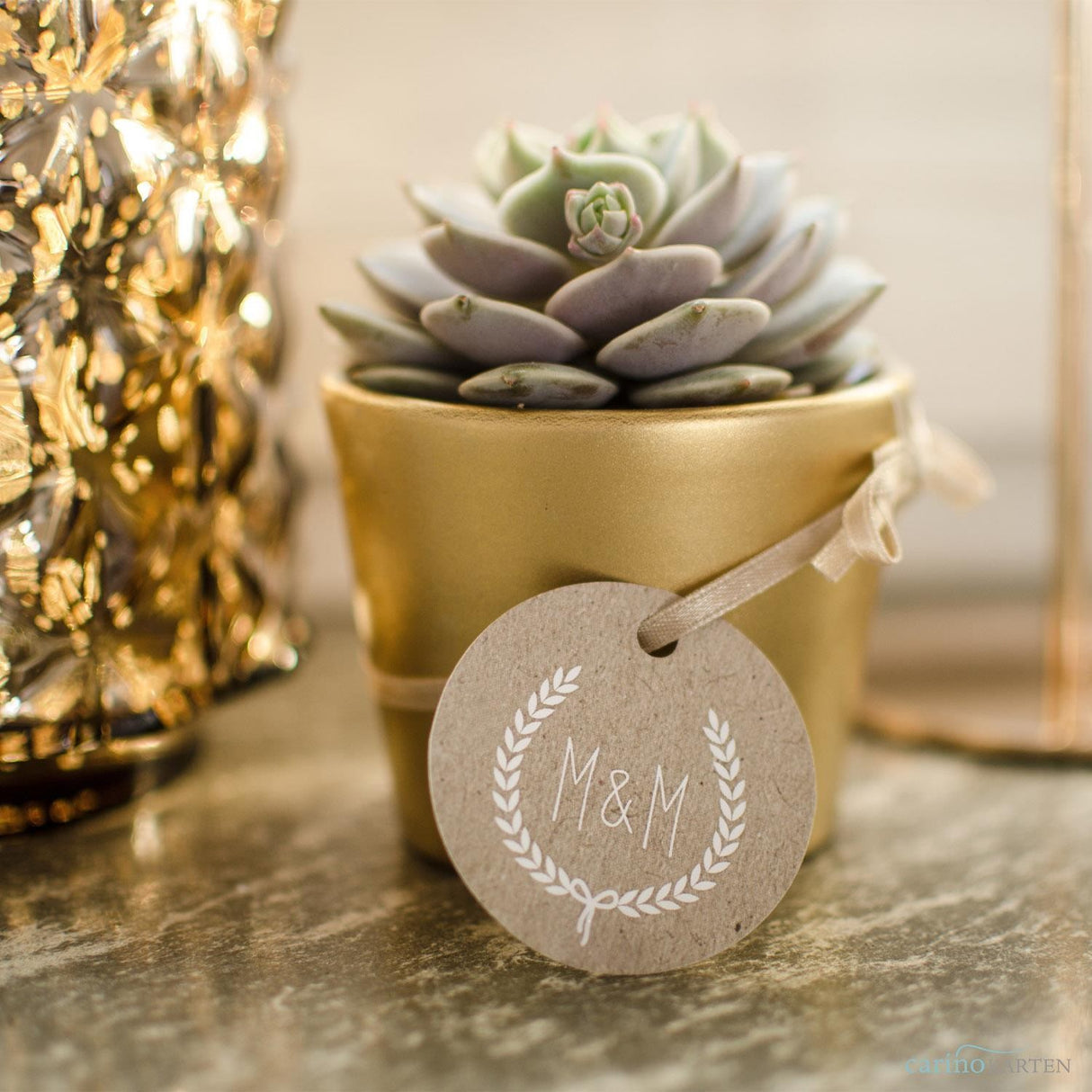 Sukkulenten Gastgeschenke zusammenstellen