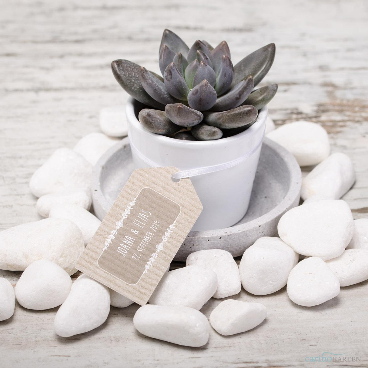 Sukkulenten Gastgeschenke zusammenstellen