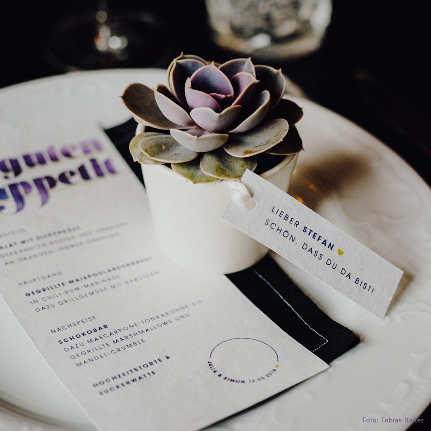 Sukkulenten Gastgeschenke zusammenstellen