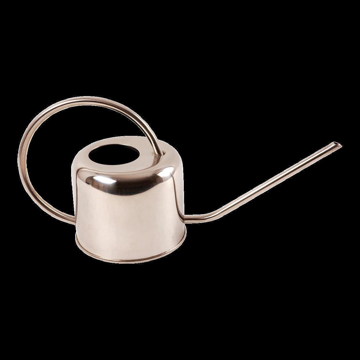 Gießkanne Edelstahl 1l