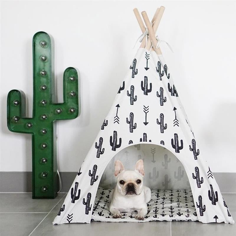 Kaktus Tipi für Hunde