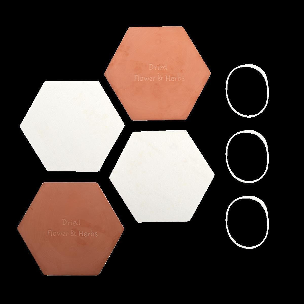 Mikrowelle Blumen- und Kräuterpresse