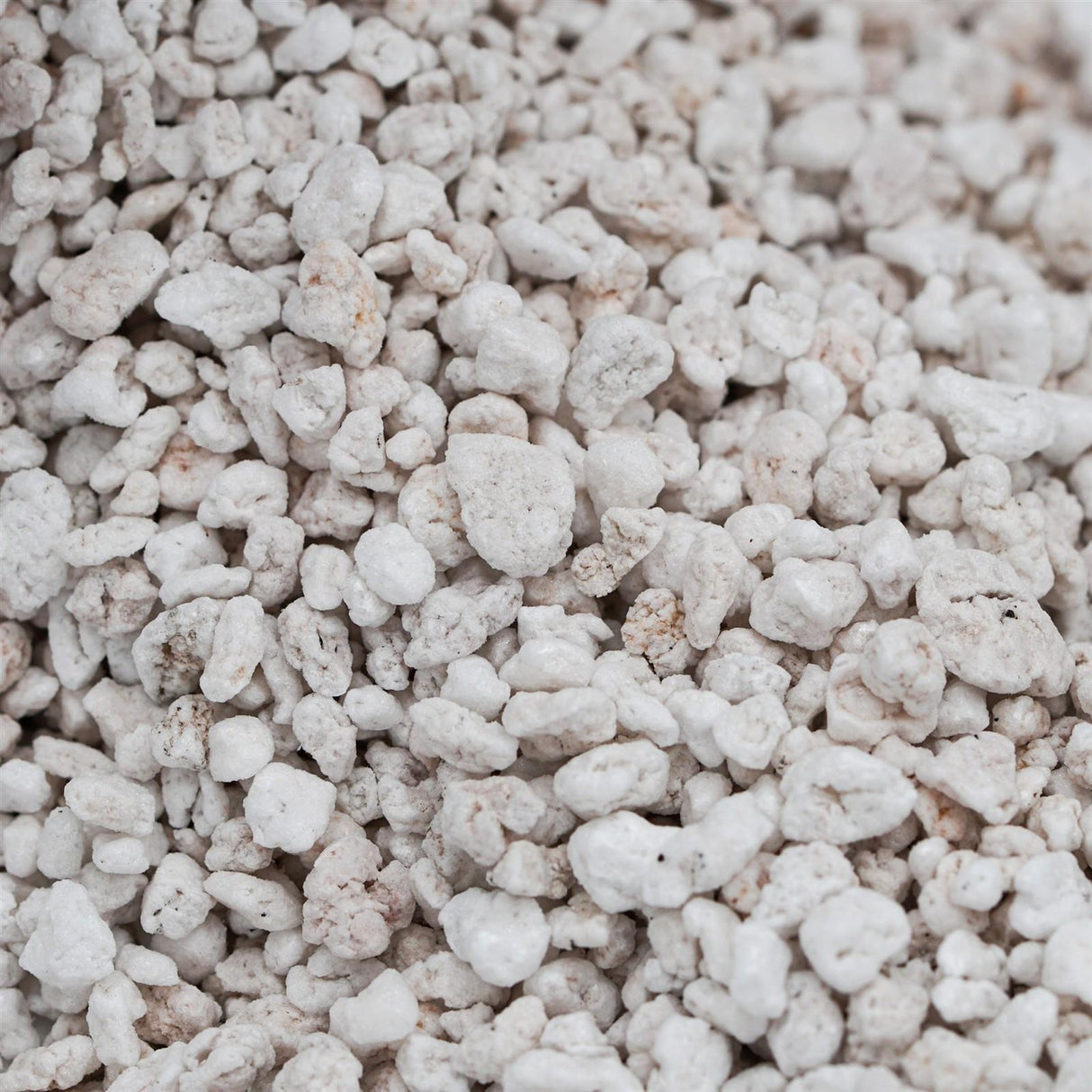 Perlite - Premium