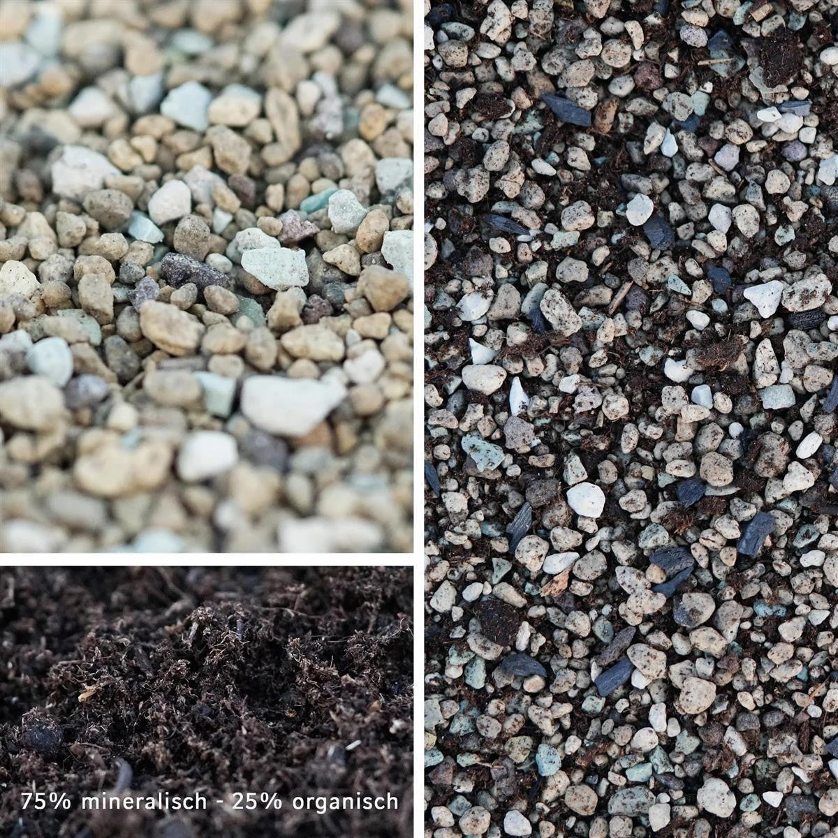 Sukkulenten Spezial-Substrat (vorgemischt)