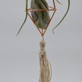 Himmeli Boho