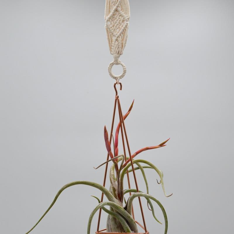 Himmeli Boho